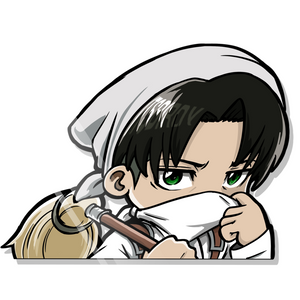 CLEANING LEVI